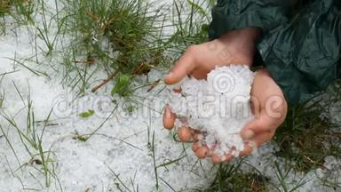 自然灾害。 早春白雪皑皑的冰雹在绿草上。 一个人手中握着<strong>寒冰</strong>